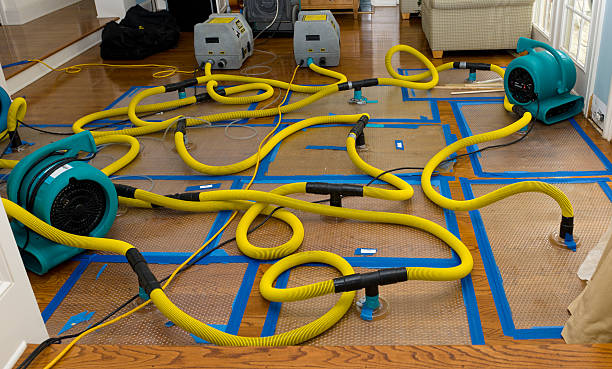 Professional Crawl Space Water Removal technician working in Caldwell, ID